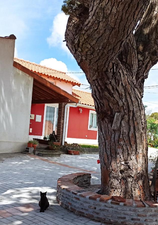 Casa De Campo A 5 Minutos Da Praia اتوغويه ده باليه المظهر الخارجي الصورة